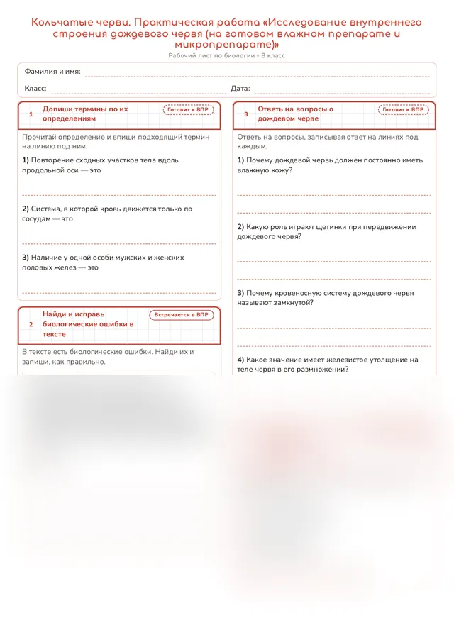 Начало рабочего листа