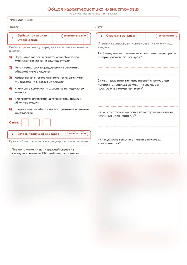 Начало рабочего листа