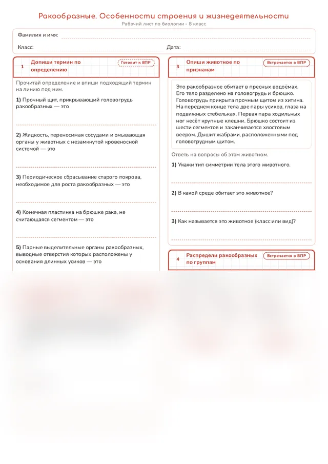 Начало рабочего листа