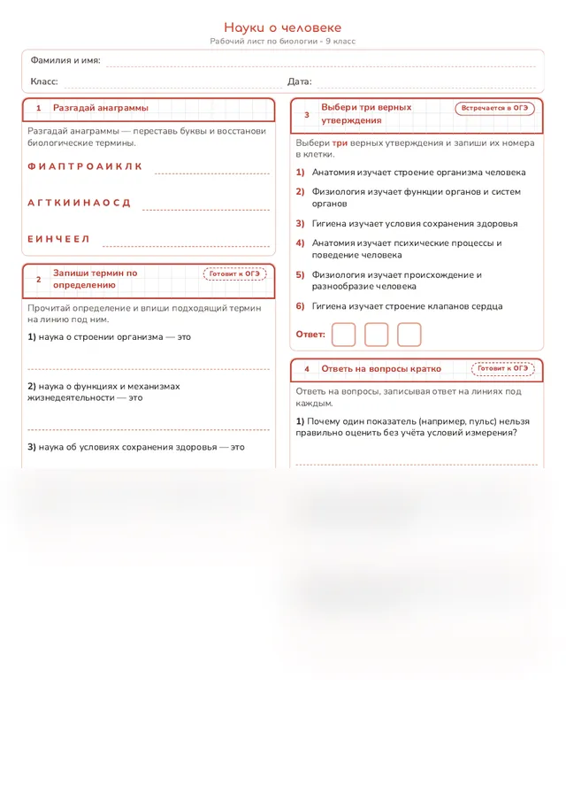 Начало рабочего листа