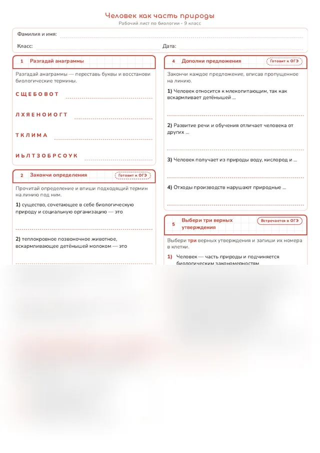 Начало рабочего листа