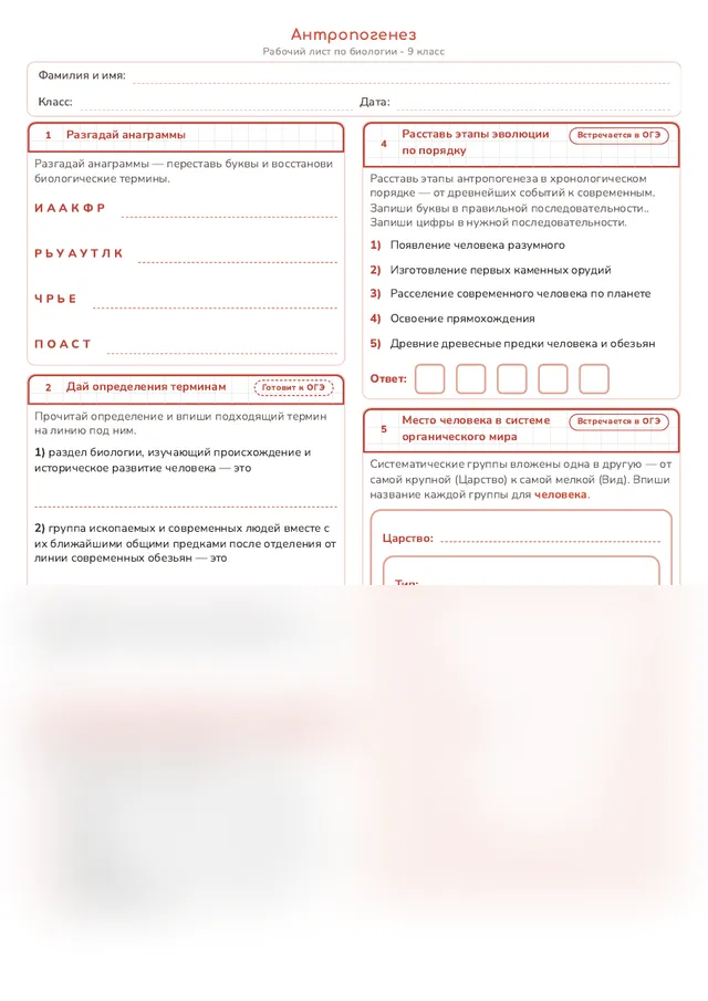 Начало рабочего листа