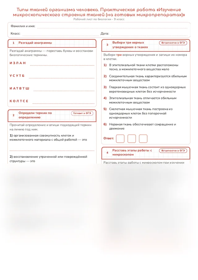Начало рабочего листа