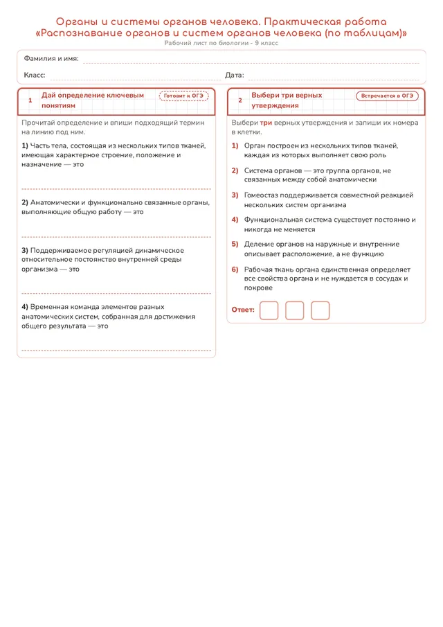 Начало рабочего листа