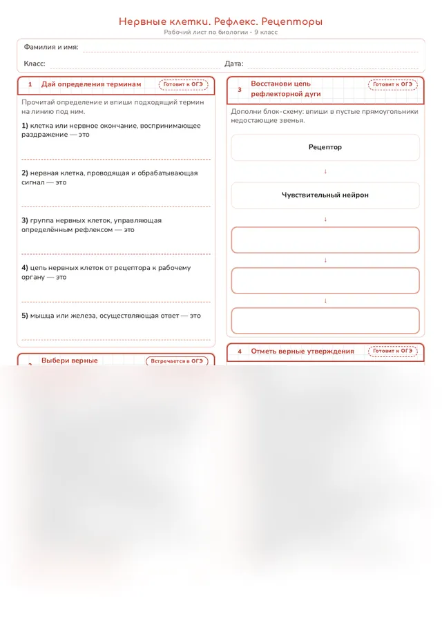 Начало рабочего листа