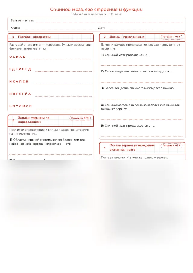 Начало рабочего листа