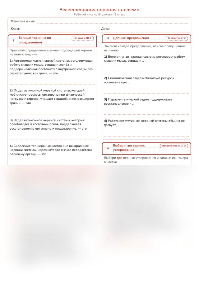 Начало рабочего листа