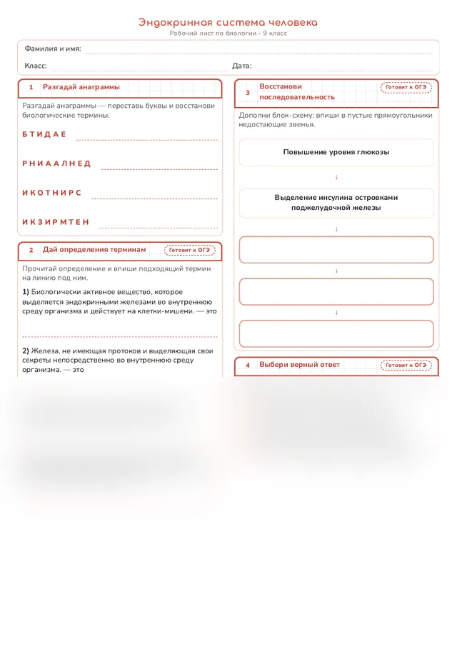 Начало рабочего листа