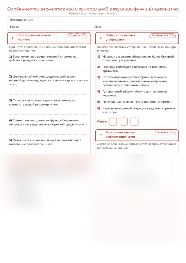 Начало рабочего листа