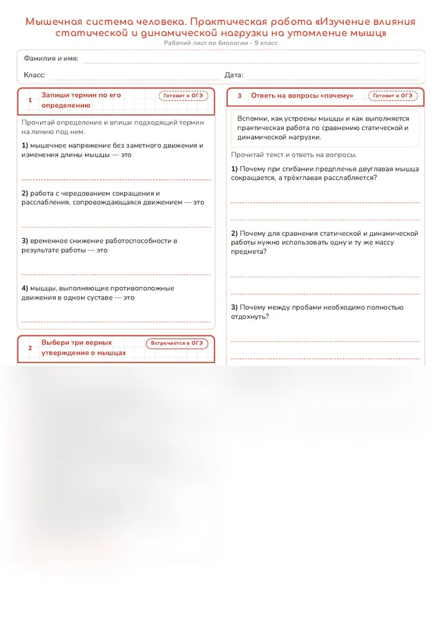 Начало рабочего листа