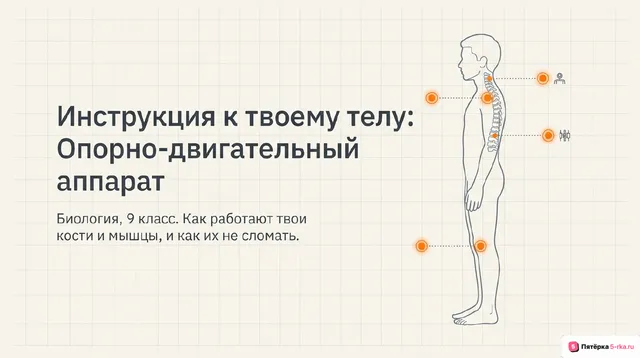 Обложка презентации к уроку «Нарушения опорно-двигательной системы»