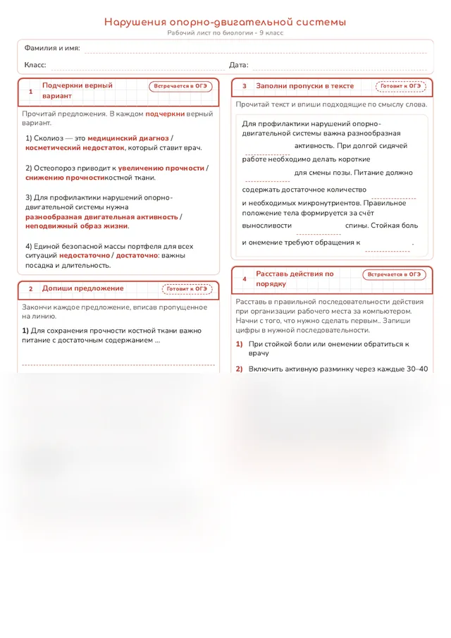 Начало рабочего листа