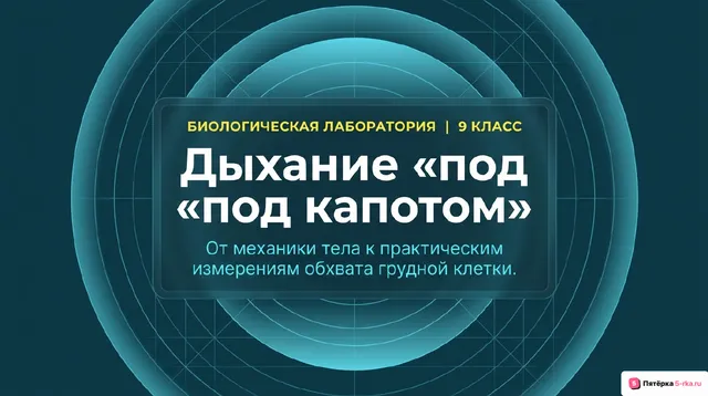Обложка презентации к уроку «Механизмы дыхания»